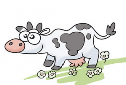 东南漫画今晚是什么呢,揭秘神秘主题